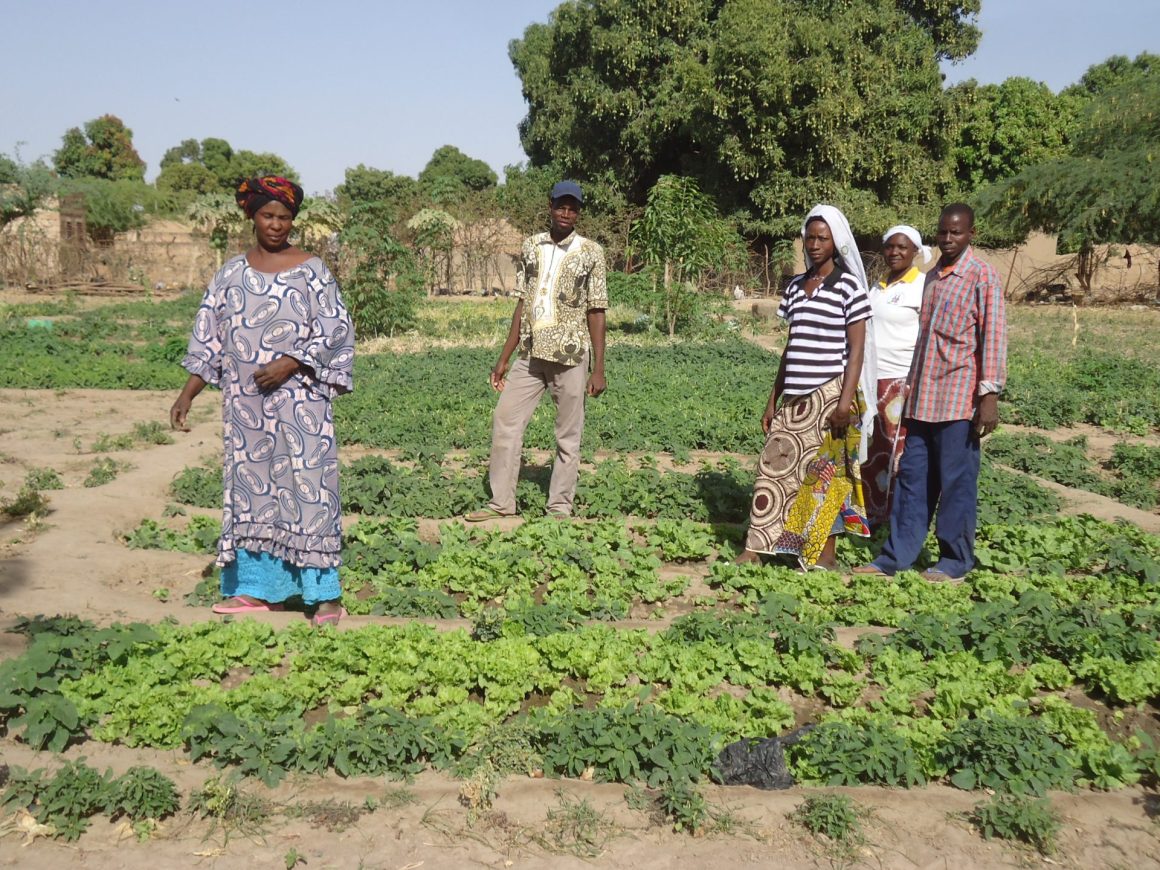 Femmes épanouies : Notre projet PAAGA au Burkina Faso : photo 2