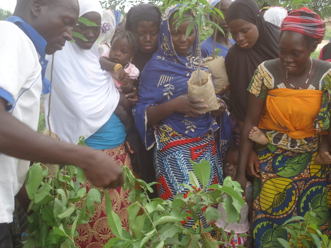 Femmes épanouies : Notre projet PAAGA au Burkina Faso : photo 4