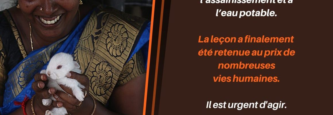L'Inde face au COVID-19 : l'équipe Kynarou nous raconte la crise 1/4
