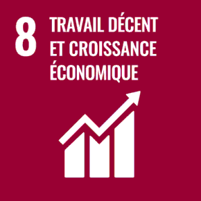Objectif 08 : travail décent et croissance économique